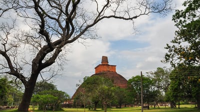 Sigiriya Village Tour and Lunch
