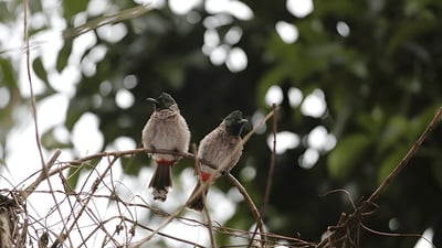 Hurulu Eco Park Private Safari