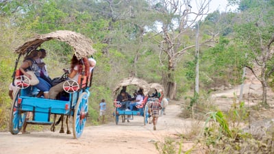 Sigiriya Village Tour and Lunch