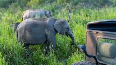 Hurulu Eco Park Private Safari