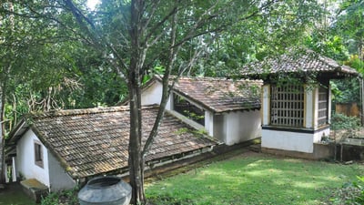 Bentota City Tour from Mirissa City