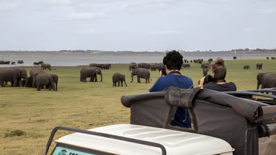 Kaudulla National Park Private Safari from Sigiriya City