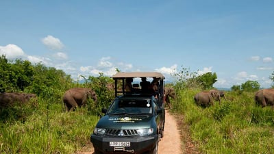 Udawalawe National Park Safari from Galle City