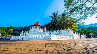 Kandy City Tour from Habarana City