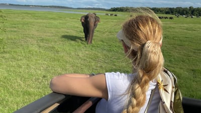 カウドゥッラ国立公園 プライベートサファリ