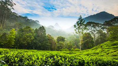 Nuwara Eliya Highlands from Kandy City
