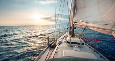 Whale Watching by Yacht from Trincomalee City