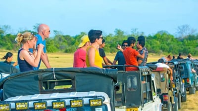 Bundala National Park Safari from Tangalle City