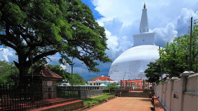 Wilpattu und Anuradhapura von Colombo (2 Tage)