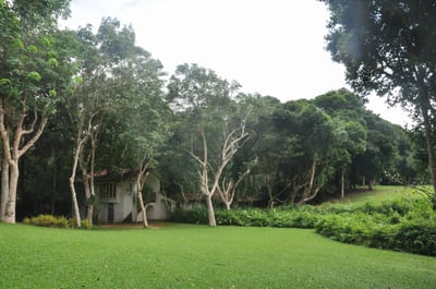 Bentota City Tour from Galle City