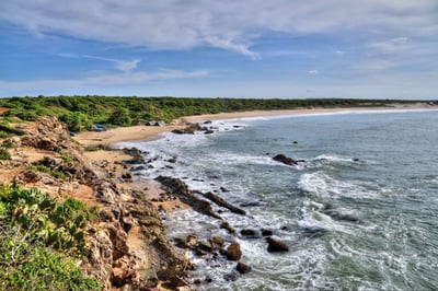 Bundala National Park Safari from Talpe City