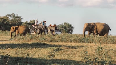 Jewels of Sri Lanka (16 Days)