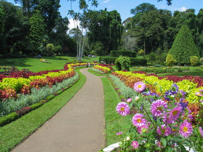 Kandy City Tour from Negombo City