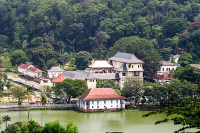 Kandy City Tour from Negombo City