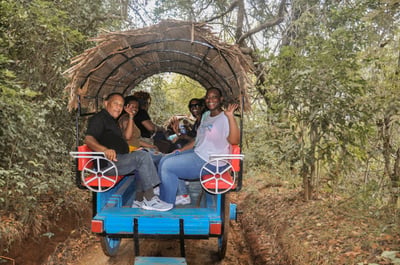 Sigiriya Rock and Village Tour from Colombo City