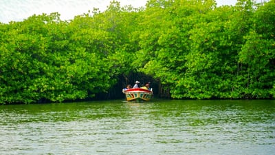 Bentota City Tour from Tangalle City