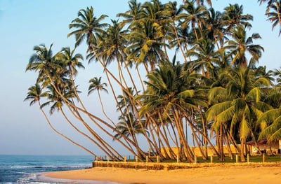 Hidden Temples and Secluded Coastline from Koggala City