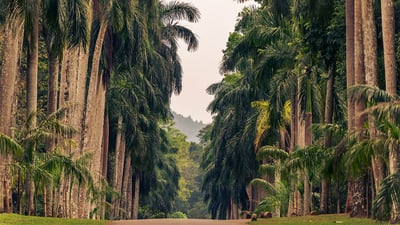 Culture of the Hills from Negombo (2 Days)