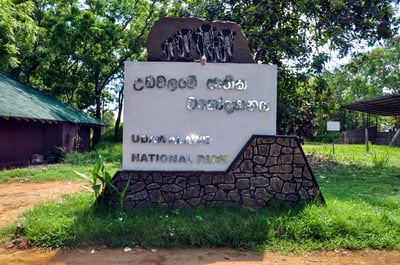Udawalawe National Park Safari from Galle City
