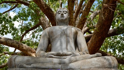 Wild Wonders and Sacred Spaces Tour from Galle (2 Days) by Standard Car