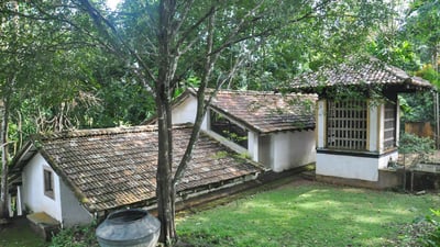 Bentota City Tour from Mount Lavinia City