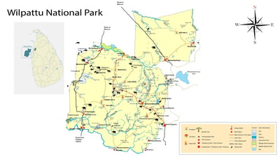 Wilpattu National Park Private Safari