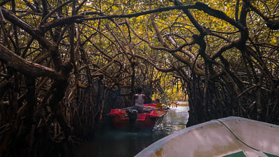 Golden Coast of the South (7 Days)