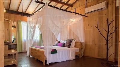 Purple Coot Ayurveda Retreat