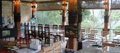 The Tea Cottage Resort