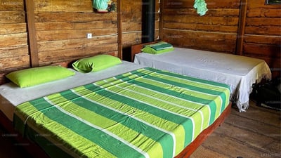Sarilco Rock View Treehouse