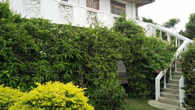 Nilaveli Palm House