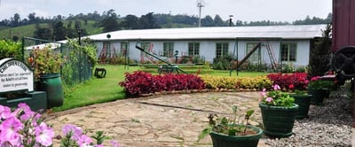 Heritance Tea Factory