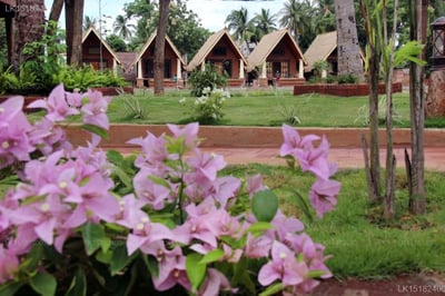 Avasta Resort & Spa