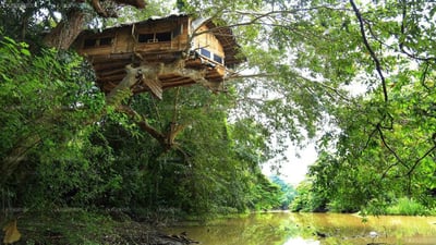 Villa Kumbuk Tree House