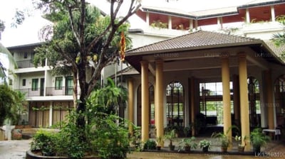Hotel Elephant Bay