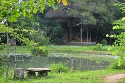 Back of Beyond - Dehigaha Ela
