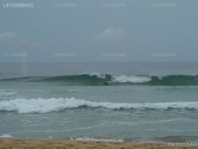 Neela's Guest House & Beach Restaurant