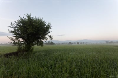 Farcry Boutique Resort