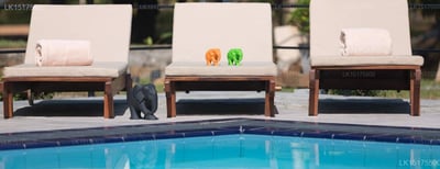 Farcry Boutique Resort