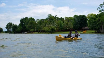 Governors River Lodge Wilpattu
