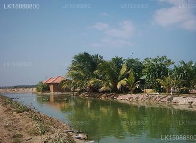 Taniya Hotel
