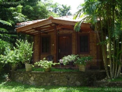 Field View Holiday Resort Hotel