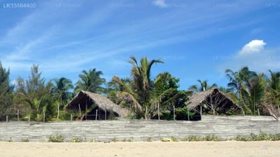 Watermusic Beachhouse and Cabanas