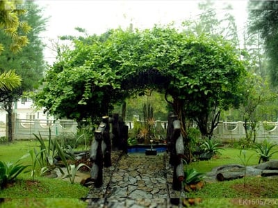 OYO 520 Villa Palma Beach Resort