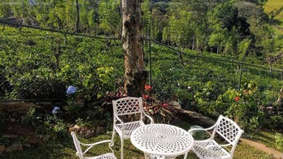 Bandarawela Holiday Bungalow
