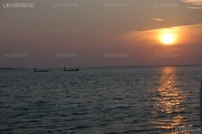 Sethawadiya Dolphin View Eco Lodge