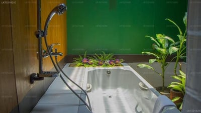 Purple Coot Ayurveda Retreat