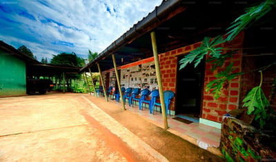 Martin's Lodge