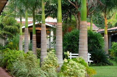 Chaarya Resort & Spa by Chandrika