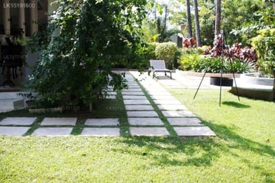 The Well House